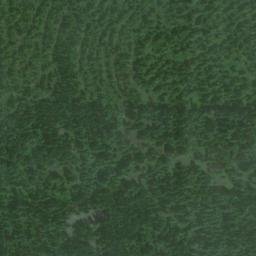 Satellite imagery of Monument 186, CA
