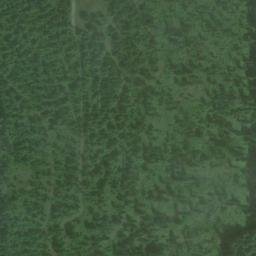 Satellite imagery of Monument 186, CA