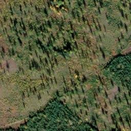 Satellite imagery of Monument 210, CA