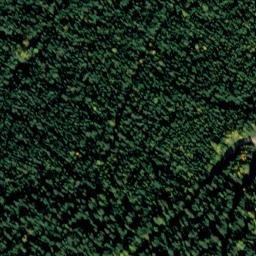 Satellite imagery of Monument 211, CA