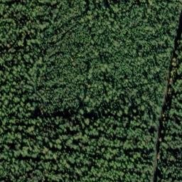 Satellite imagery of Monument 221, CA
