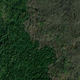 Satellite imagery of Monument 224, CA