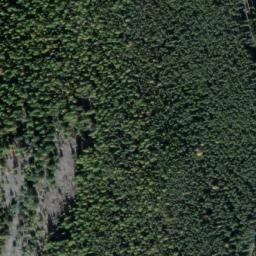 Satellite imagery of Monument 228, CA