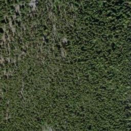 Satellite imagery of Monument 229, CA