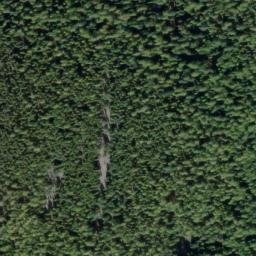 Satellite imagery of Monument 229, CA