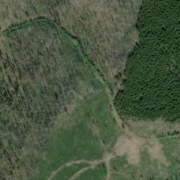 Satellite imagery of Monument 239, CA