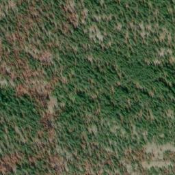 Satellite imagery of Monument 256, CA