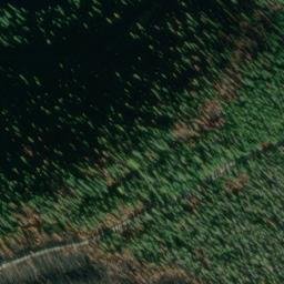 Satellite imagery of Monument 257, CA