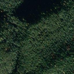 Satellite imagery of Monument 258, CA