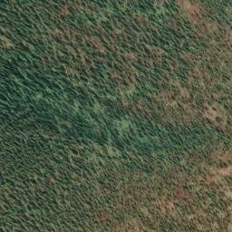 Satellite imagery of Monument 259, CA