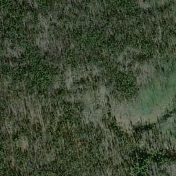 Satellite imagery of Monument 263, CA
