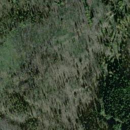 Satellite imagery of Monument 263, CA