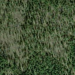 Satellite imagery of Monument 264, CA