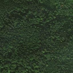 Satellite imagery of Dendelberg, DE
