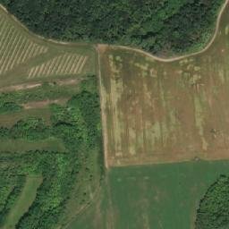 Satellite imagery of Líchy [Šitbořice], CZ