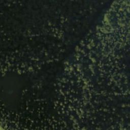 Satellite imagery of Lysec, SK