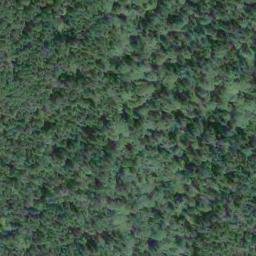 Satellite imagery of Burchell Hill, CA