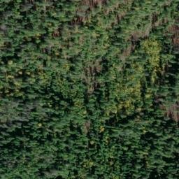 Satellite imagery of Confusion Ridge, US