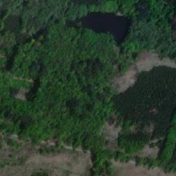 Satellite imagery of Syrovický les, CZ