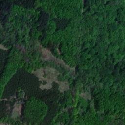Satellite imagery of Syrovický les, CZ