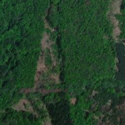 Satellite imagery of Syrovický les, CZ