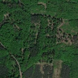 Satellite imagery of (Černý les) [Střelice u Jevišovic], CZ