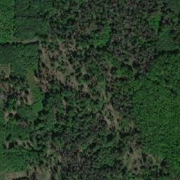 Satellite imagery of (Černý les) [Střelice u Jevišovic], CZ