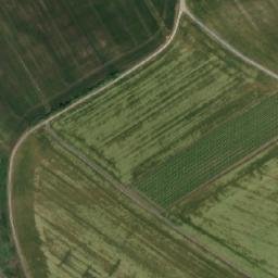 Satellite imagery of Punty [Velké Němčice], CZ