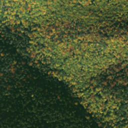 Satellite imagery of sedlo Humenec, SK
