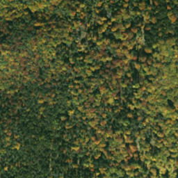 Satellite imagery of sedlo Humenec, SK
