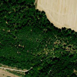 Satellite imagery of Ruine Rundeck, DE