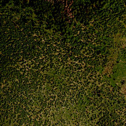 Satellite imagery of 24, DE