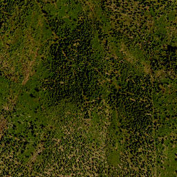 Satellite imagery of 24, DE