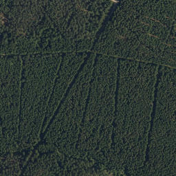 Satellite imagery of Starohuťský vrch, CZ