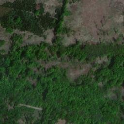 Satellite imagery of Syrovický les, CZ