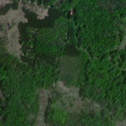 Satellite imagery of Syrovický les, CZ