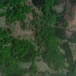 Satellite imagery of Syrovický les, CZ