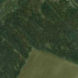 Satellite imagery of (Lesonický les [Miroslavské Knínice]), CZ