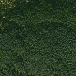 Satellite imagery of sedlo Humenec, SK