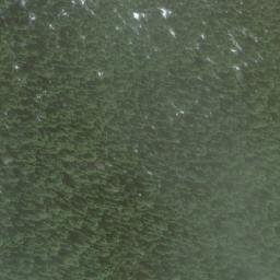 Satellite imagery of Mount Grey, CA