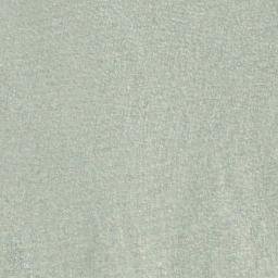 Satellite imagery of Penelakut Spit, CA