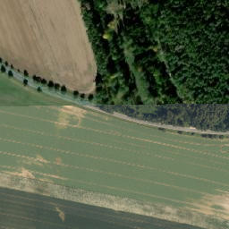 Satellite imagery of Šibeniční vrch [Písečné], CZ