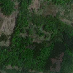 Satellite imagery of Syrovický les, CZ