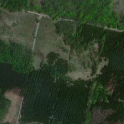 Satellite imagery of Syrovický les, CZ