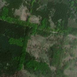 Satellite imagery of Syrovický les, CZ