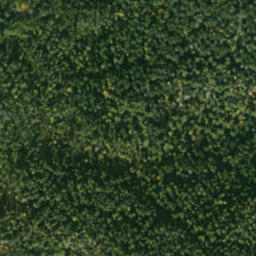 Satellite imagery of sedlo Humenec, SK