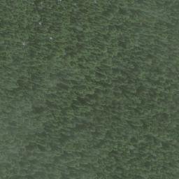 Satellite imagery of Mount Grey, CA