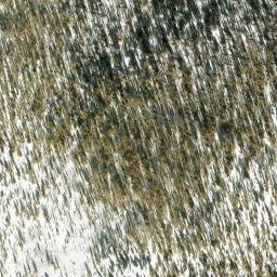 Satellite imagery of Bauerman Ridge, US