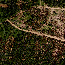 Satellite imagery of TP, AT