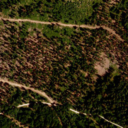 Satellite imagery of TP, AT